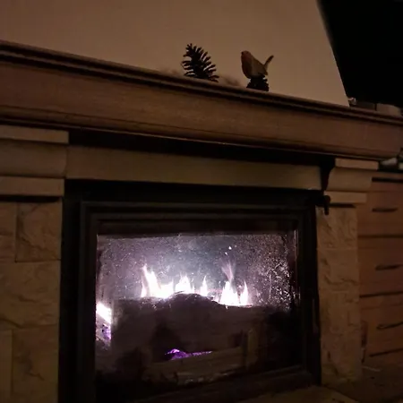 펜션 Dom Drewniany Z Ogrodem 슈체시네크