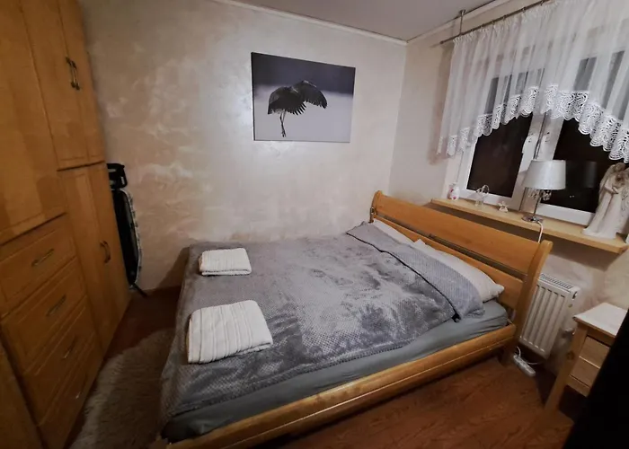 Dom Drewniany Z Ogrodem